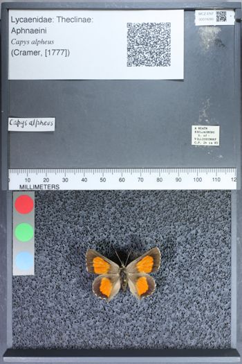 Media type: image;   Entomology 74280